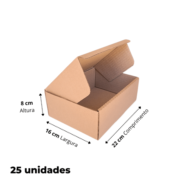 25 Caixas De Papelão 22x16x8