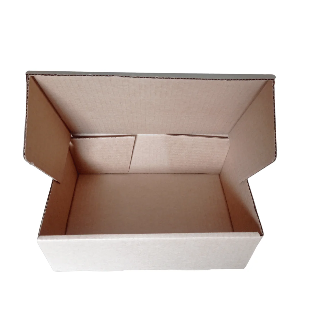 100 Caixas De Papelão 27x18x9 - Imagem 5