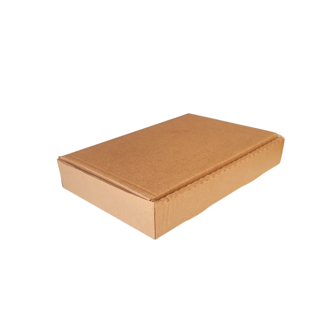 10 Caixas de papelão 24x16x4 MINI - Imagem 2