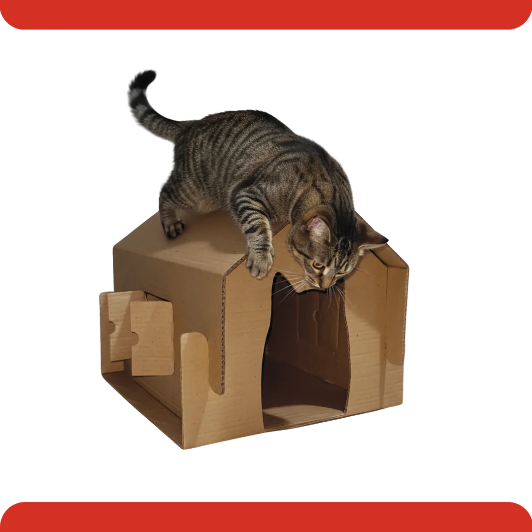 Toca do Gato - Casinha Para Gato De Papelão Personalizável - Imagem 3